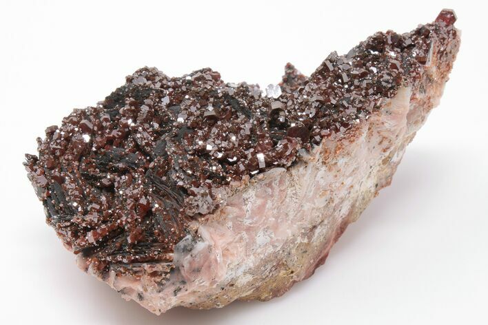 3.9" Ruby Red Vanadinite Crystals on Black Barite - Morocco